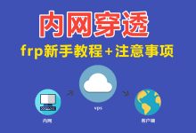 教你新手怎么搭建frp内网穿透教程VPS云服务器搭建最新教程+注意细节【快速上手】-莱卡云