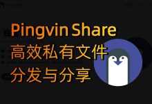教你使用Docker搭建一款现代、轻量级的文件分享服务 — Pingvin Share-莱卡云