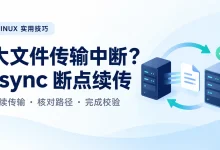 rsync传输中断怎么办?断点续传教程-莱卡云