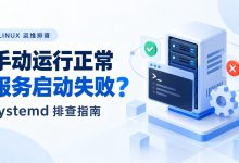 Linux 程序手动运行正常，systemd 启动失败怎么办？-莱卡云