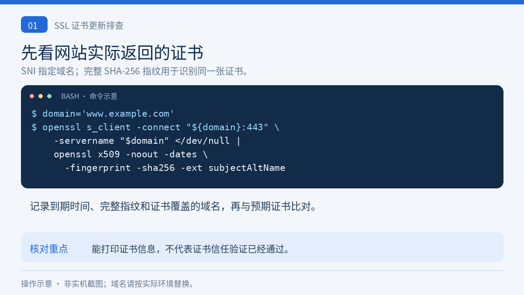 使用 OpenSSL 和 SNI 查看网站证书有效期与 SHA-256 指纹