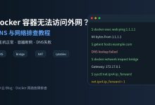 Docker 容器无法访问外网怎么办？DNS 与网络排查教程-莱卡云