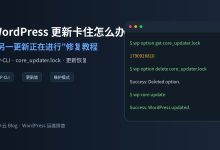 WordPress 提示“另一更新正在进行”怎么办？WP-CLI 修复教程-莱卡云
